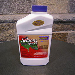 All Season Spray Oil